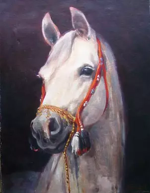   - Portrait of a horse