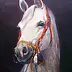 Mieczyslaw Wieczorek - Portrait of a horse