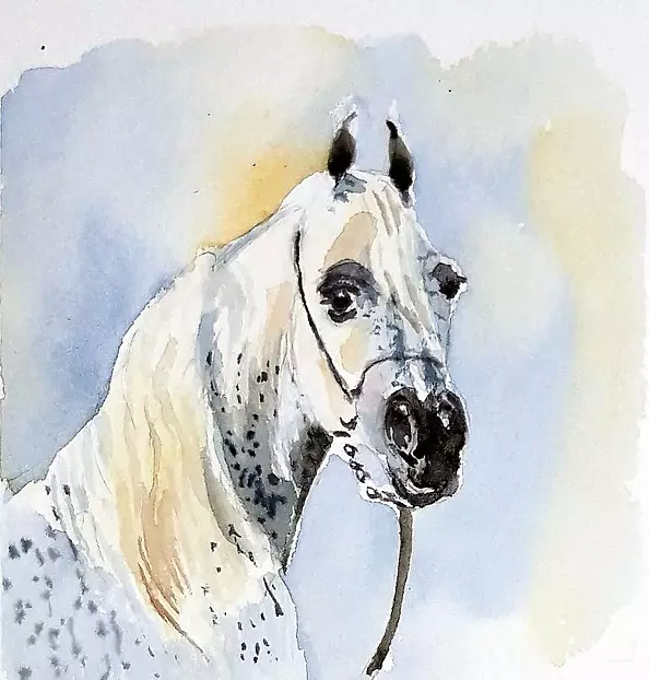 Zdzisław Rutkowski - Portret konia