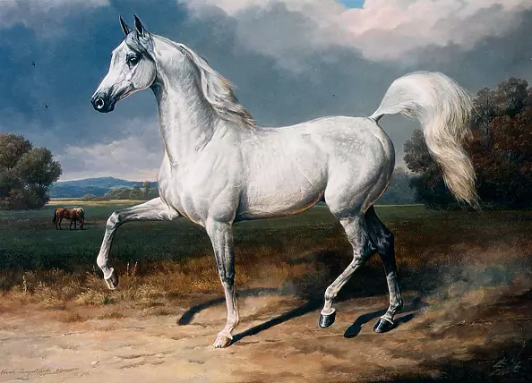 Andrzej Novak-Zemplinski - Portrait of a stallion Emanor, US National Champion