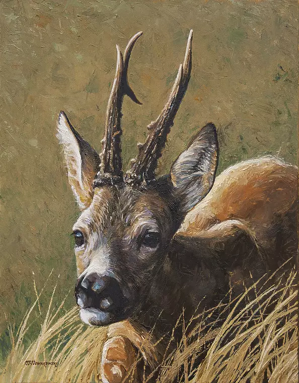 Michał Nowakowski - Portret rogacza