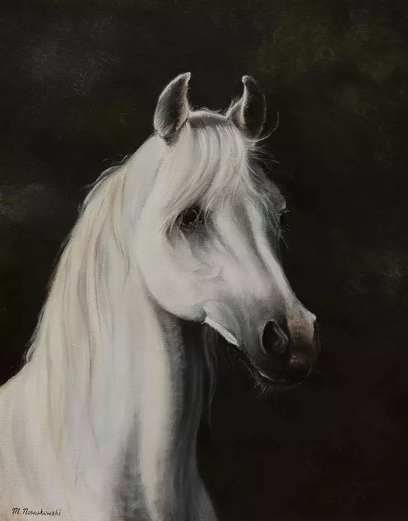 Michał Nowakowski - Portrait of a gray stallion