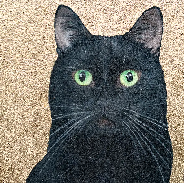 Nataliya Bagatskaya - Contemporary portrait "A glass of milk"