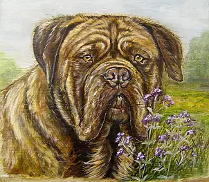 Katarzyna Niemczak - Portrait of a thriving oregano