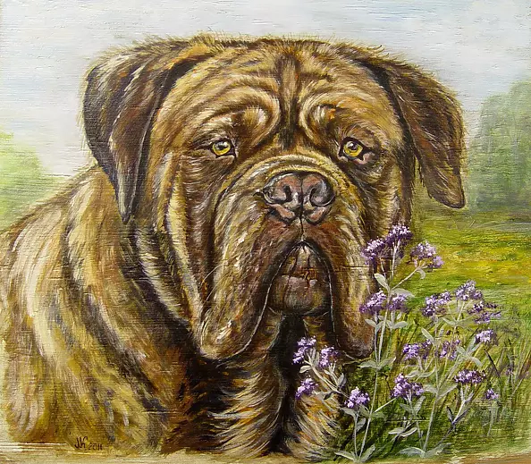 Katarzyna Niemczak - Portrait of a thriving oregano