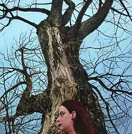 Maria Danielak, Portret z topolą czarną, Obraz olejny - płótno, 50 x 70