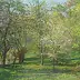 Mieczyslaw Wieczorek - Seasons-Spring