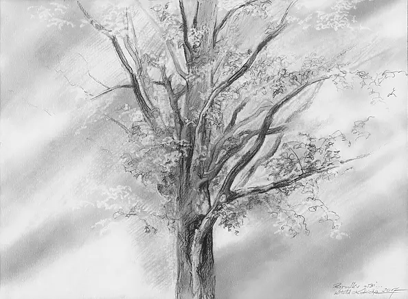 Witold Kubicha - Pośrodku wsi...