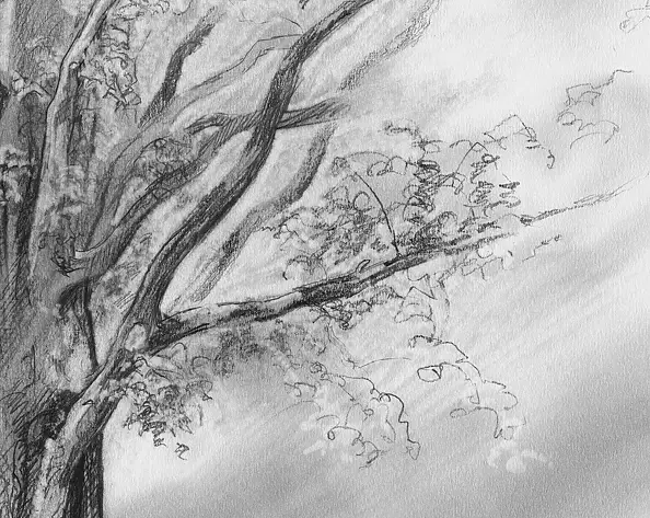 Witold Kubicha - Pośrodku wsi...