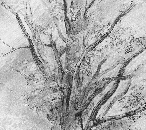 Witold Kubicha - Pośrodku wsi...