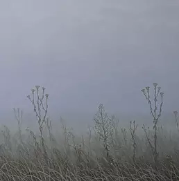 Dariusz Król - Late autumn