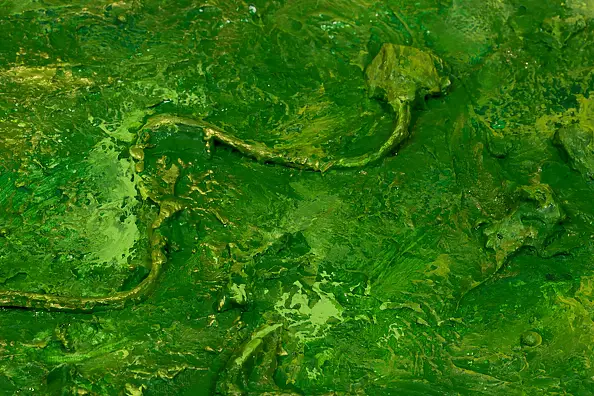 Pamela Rys - Praxidike