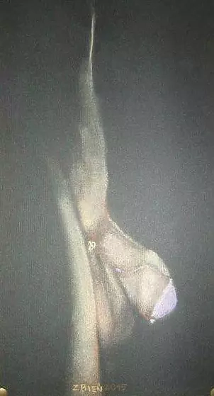 Zbigniew Bień - Profile