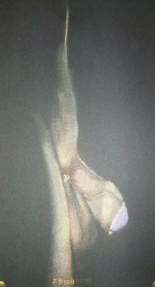 Zbigniew Bień - Profile