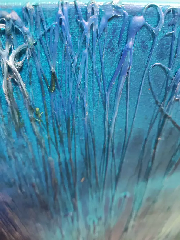 Aldona Zając -  Rays, the bottom of the ocean