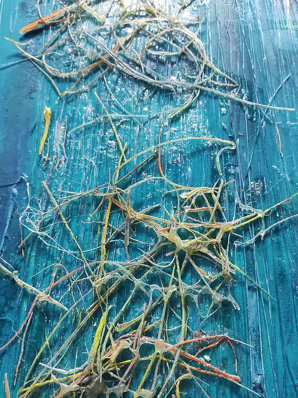 Aldona Zając -  Rays, the bottom of the ocean