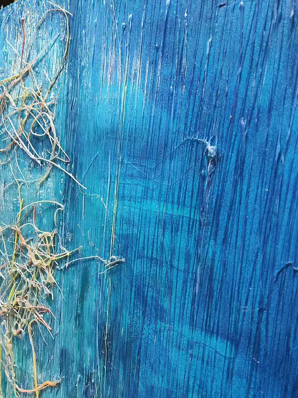 Aldona Zając -  Rays, the bottom of the ocean