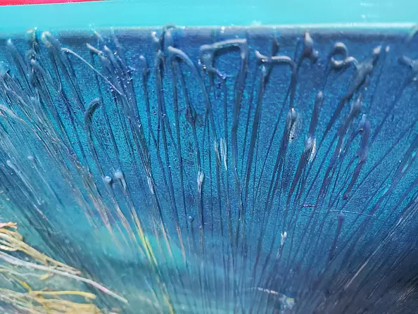 Aldona Zając -  Rays, the bottom of the ocean