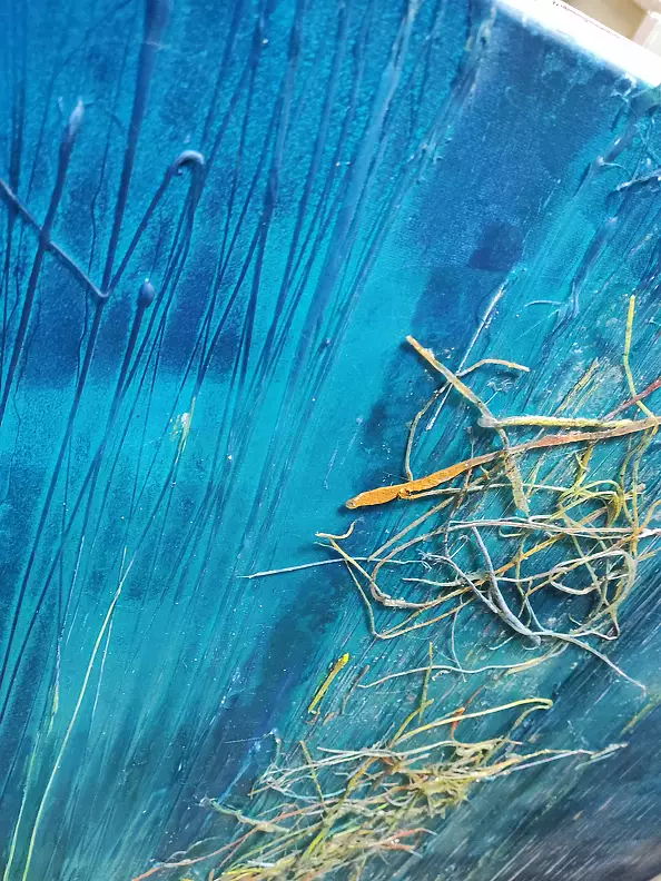 Aldona Zając -  Rays, the bottom of the ocean