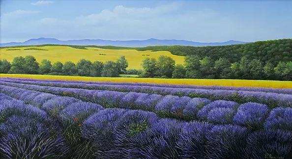 Pier Luigi Parnisari - Provence