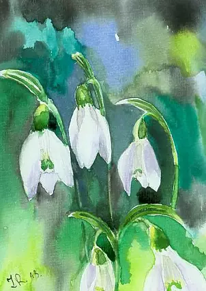 Zdzisław Rutkowski - Przebiśniegi