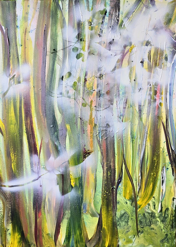 Ewa Mościszko - Glimmer