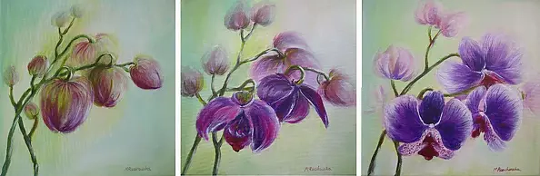 Maria Roszkowska - awakening