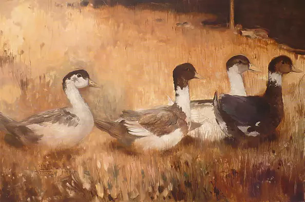 Dominik Woźniak - Stroll