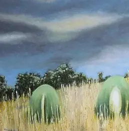 Małgorzata Baranowska - Before storm