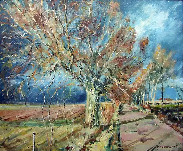 Zbigniew Starczewski - Before storm