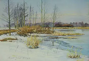 Wojciech Górecki - Early Spring in Biebrza