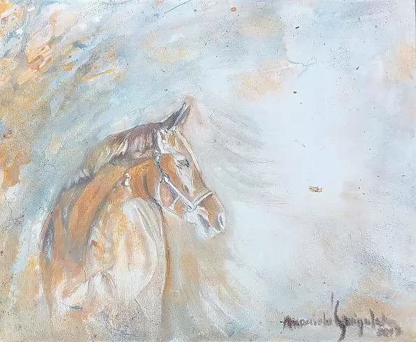 Mariola Świgulska - A ride on the shore of the sky