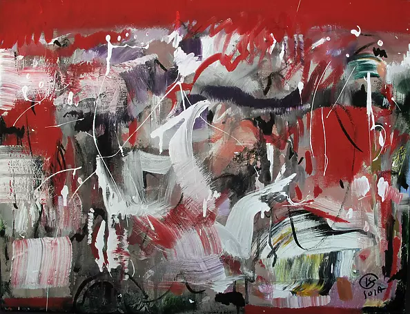 Liliana Soja - Capture and emotion