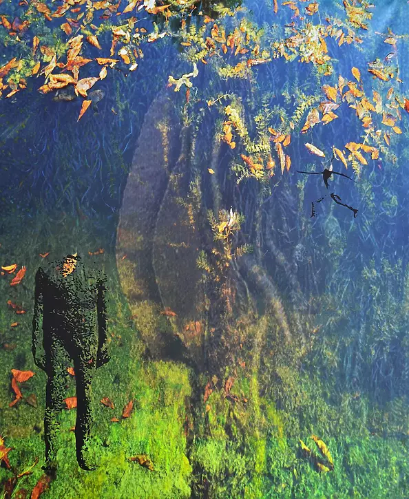 Anna Forycka Putiatycka - vanishing