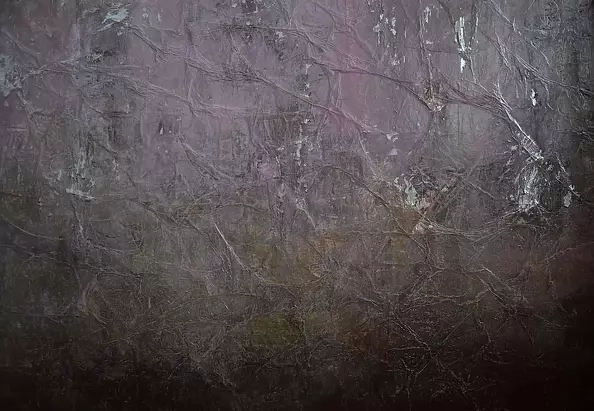 Kamila Ossowska - Space