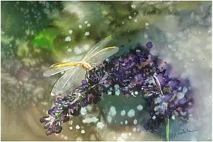 Joanna Magdalena - Favor