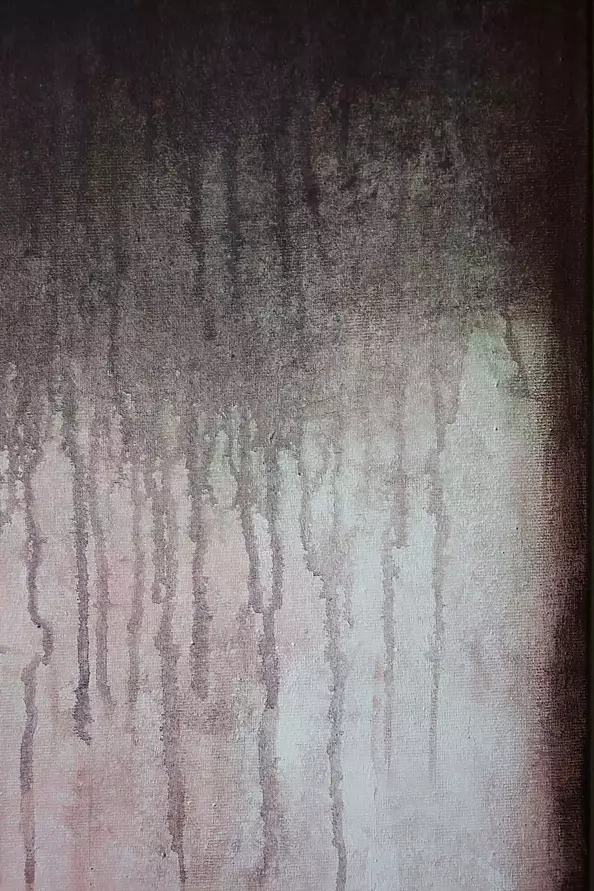 Kamila Ossowska - Attraction