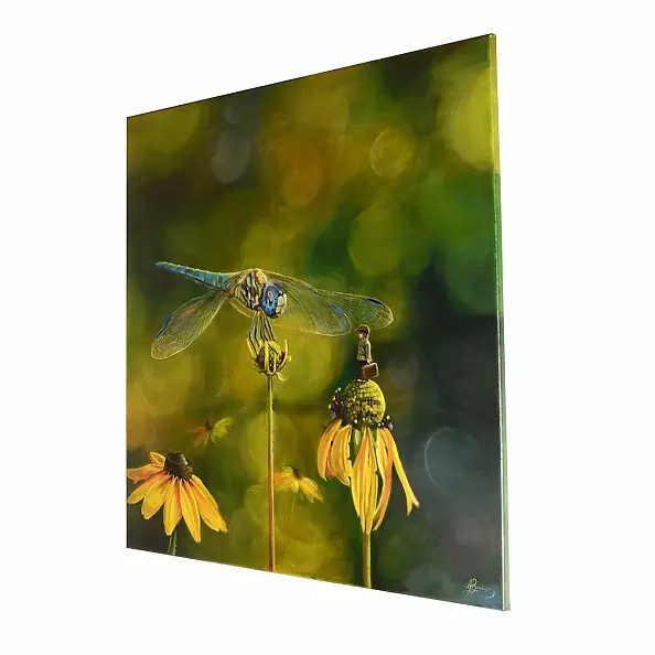 Agata Buczek - Freedom stop