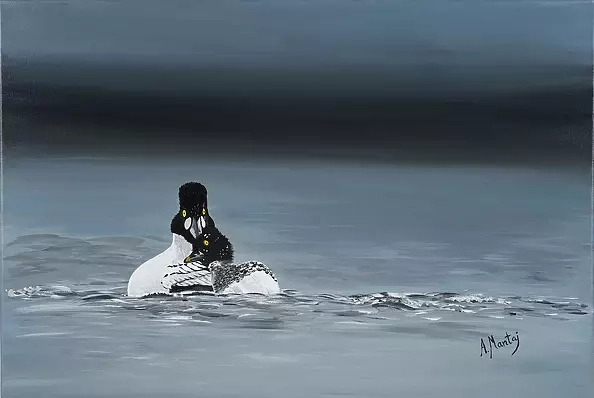 Agnieszka Mantaj - snuggled goldeneyes