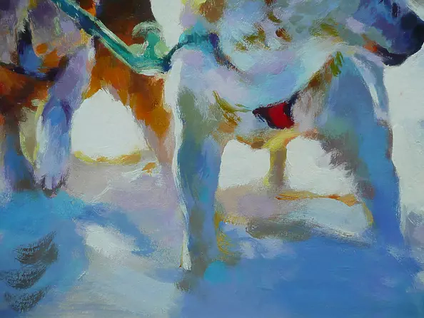 Barbara Gulbinowicz - Psi zaprzęg