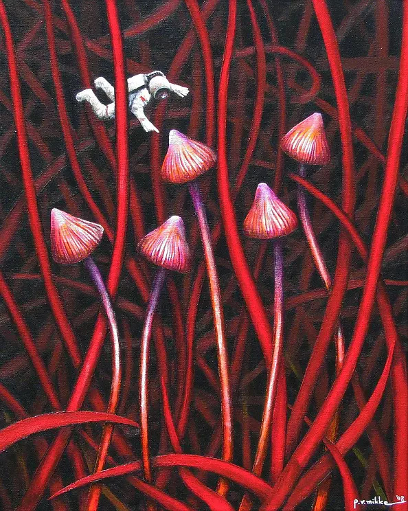 Przemek Mikke - "Psilocyberspace"