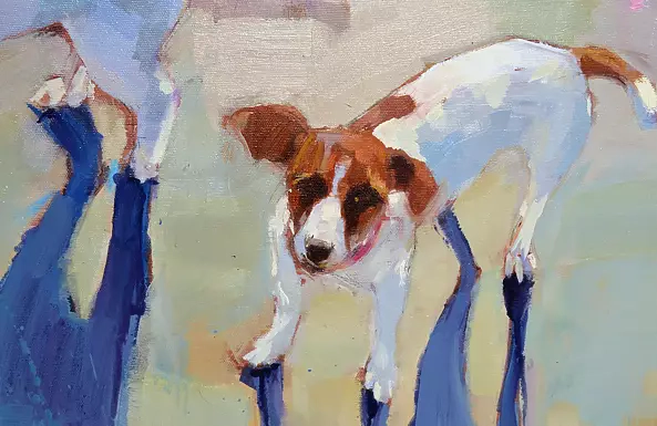 Doma Suszczyńska - dogs