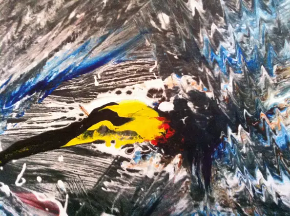 Zyta Bukra - Ptak nurkujący