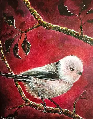 Marta Milewska - Birds - Long-eared Duck