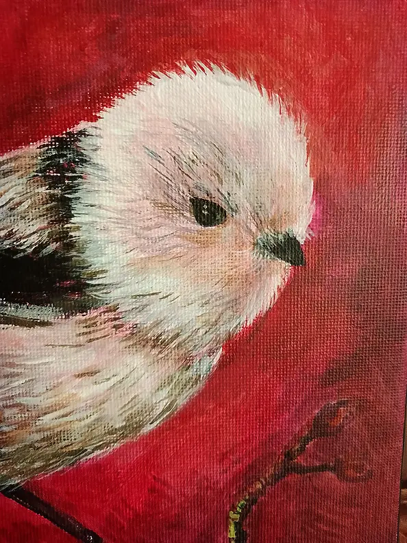 Marta Milewska - Birds - Long-eared Duck