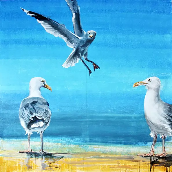 Tomasz Machoń - birds