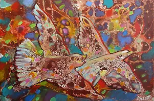 Włodzimierz Draczyński - birds