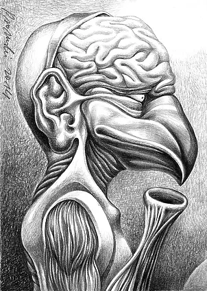 Piotr Promiński - Bird brain