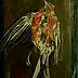 Ewa Lidia Sokołowska - Bird II