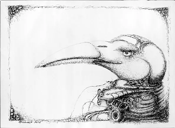 Jacek Bednarek - Birdie